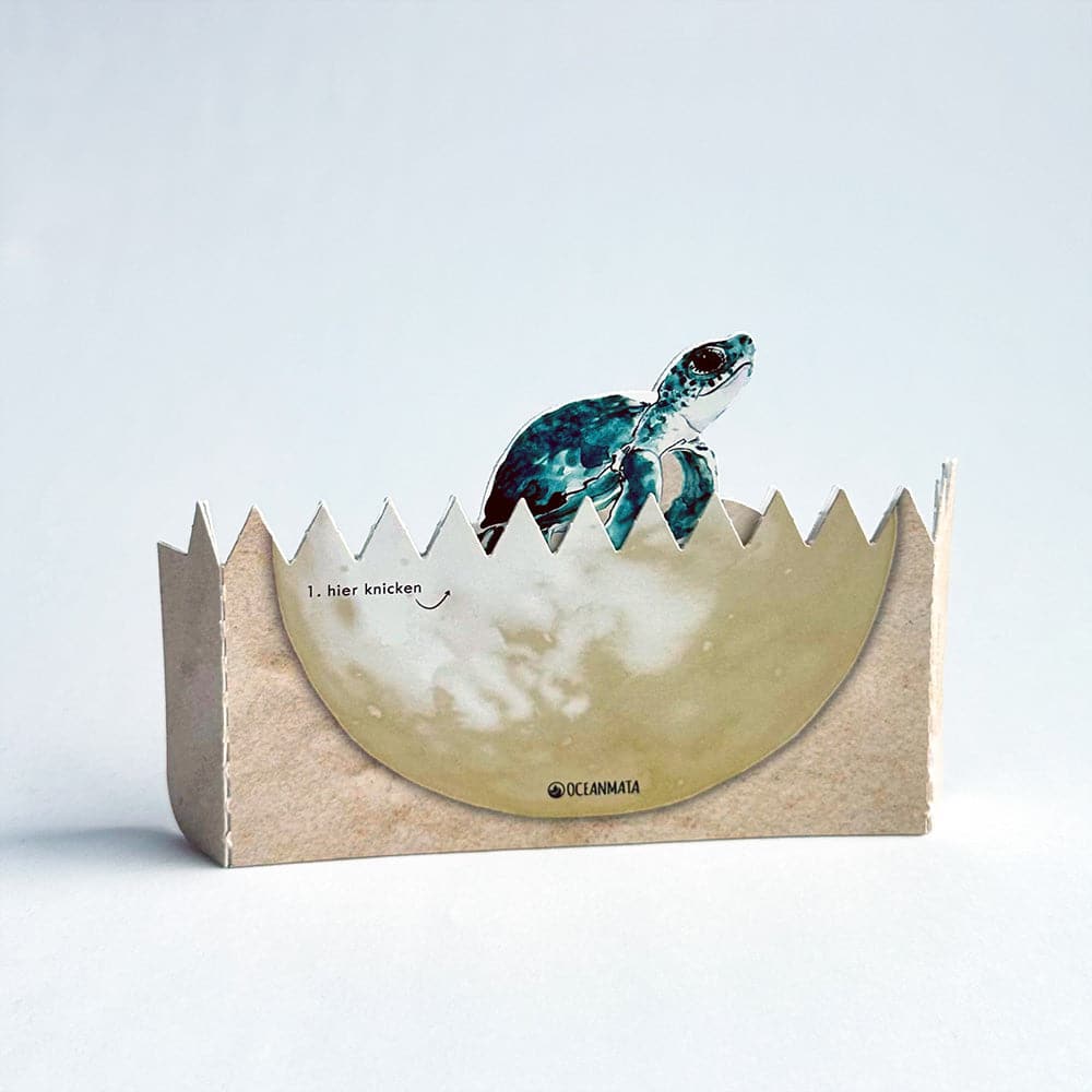 Turtle-Knackei sponsorships