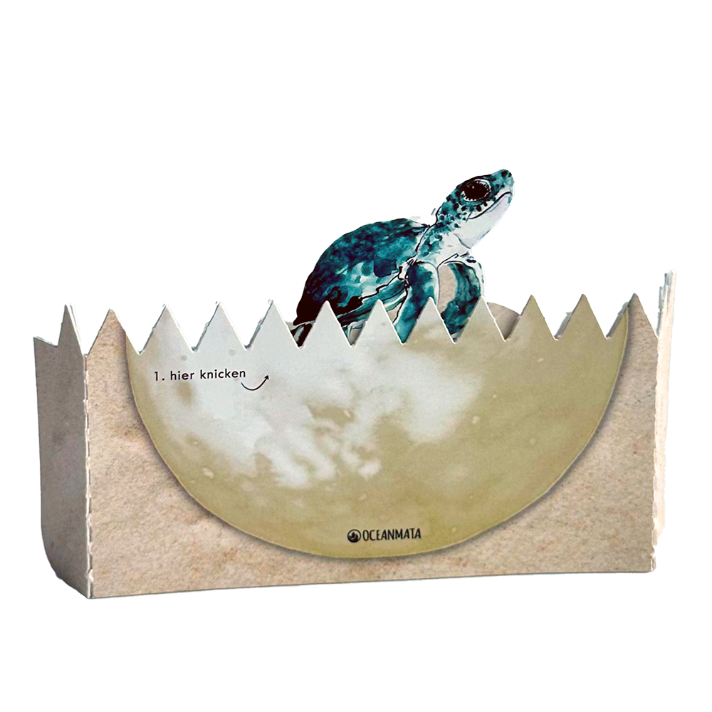 Turtle-Knackei sponsorships