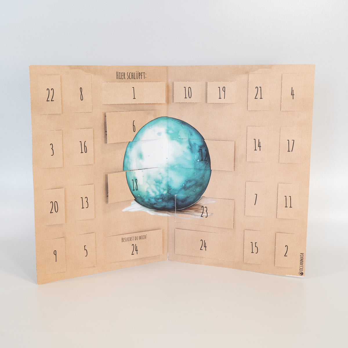 Advent Calendar 2025 Turtle Sponsorships