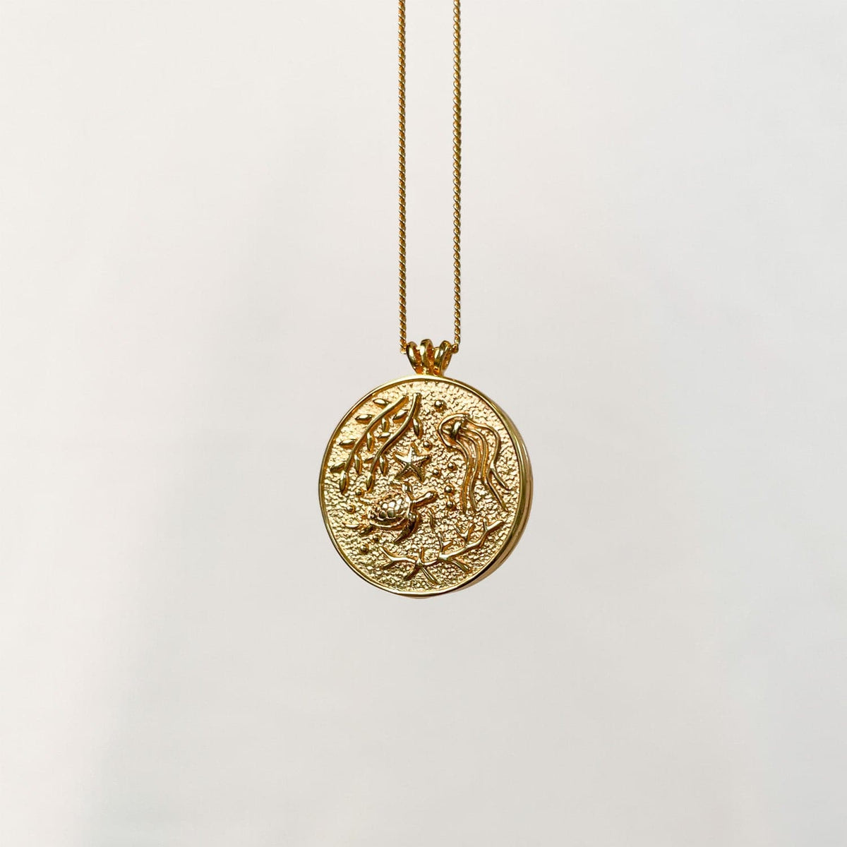 Medallion "TURTLE FAMILY"