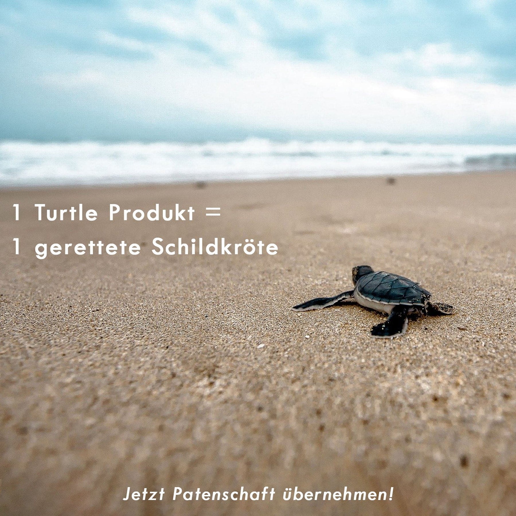 iPhone 17 air case - green - "TURTLE" - sustainable