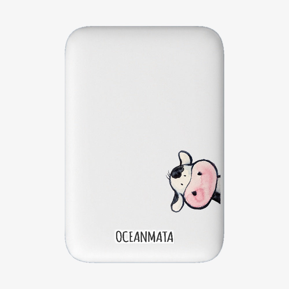 Powerbank MagSafe muh