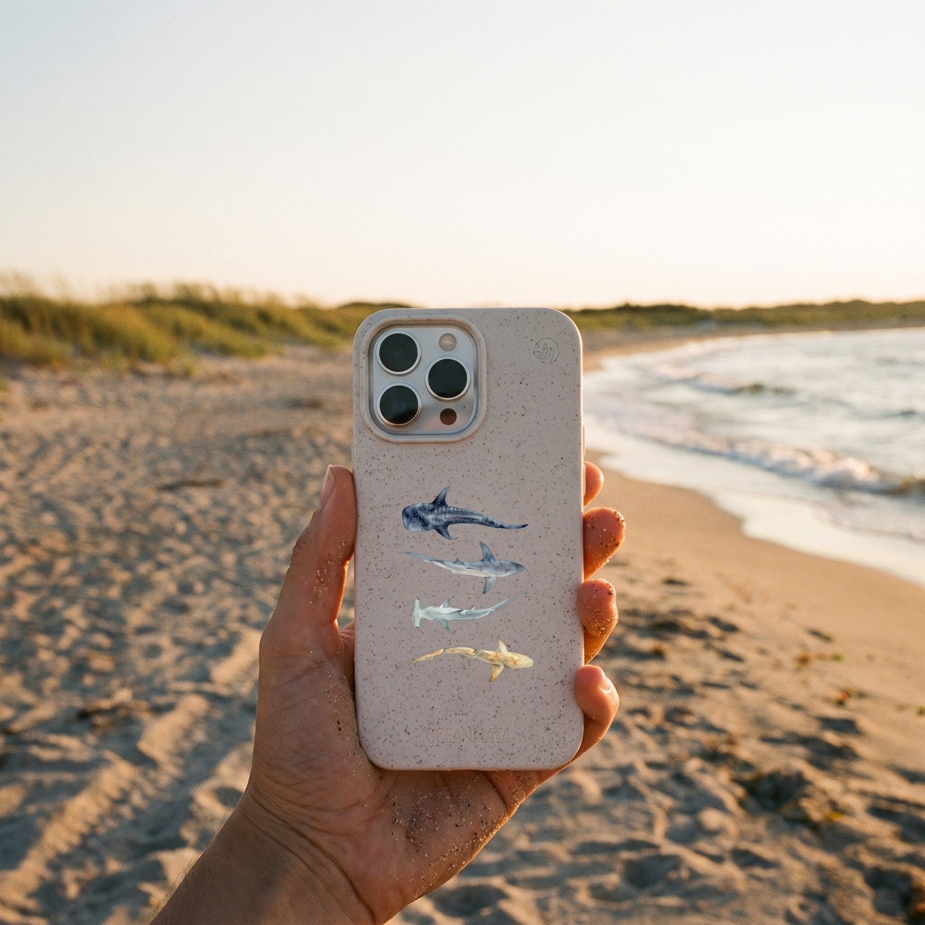 Biologisch abbaubare Handyhülle iPhone 12 mini Sharkproject — kompostierbar — in der Hand