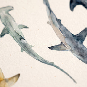 Biologisch abbaubare Handyhülle iPhone 12 mini Sharkproject — kompostierbar — Detailaufnahme Druck